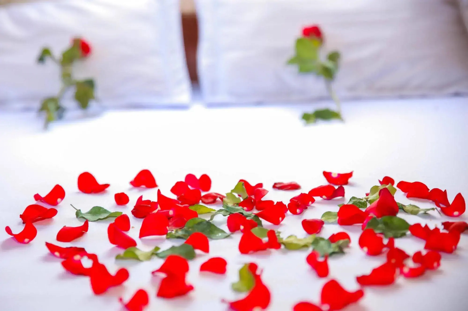 Thanh Linh Hotel