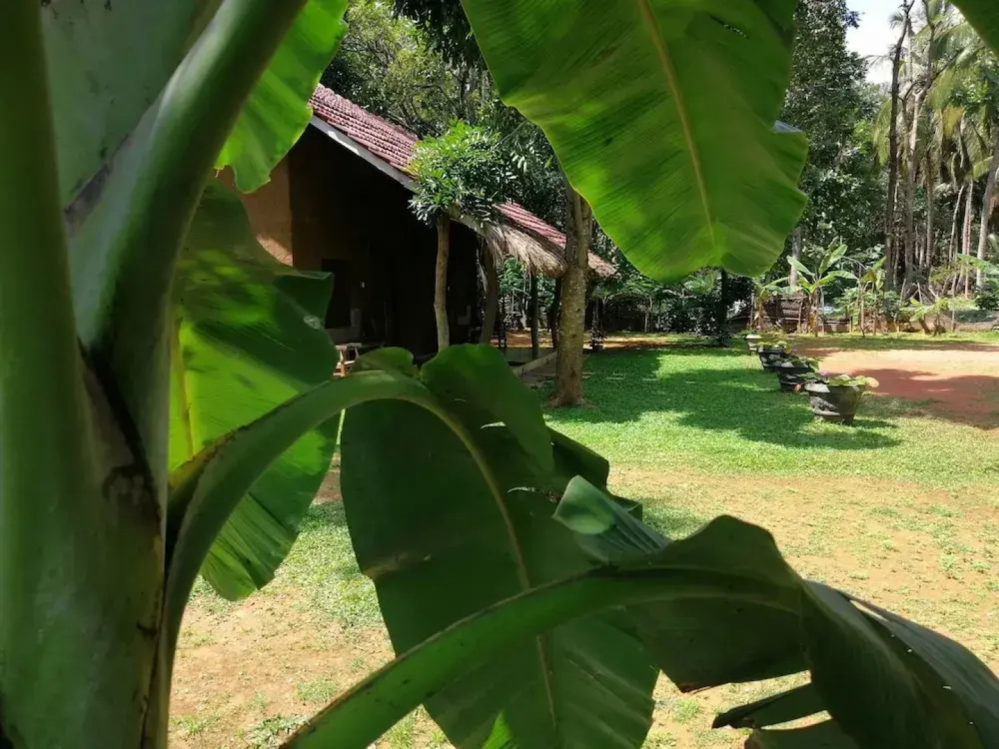 Ama Villa