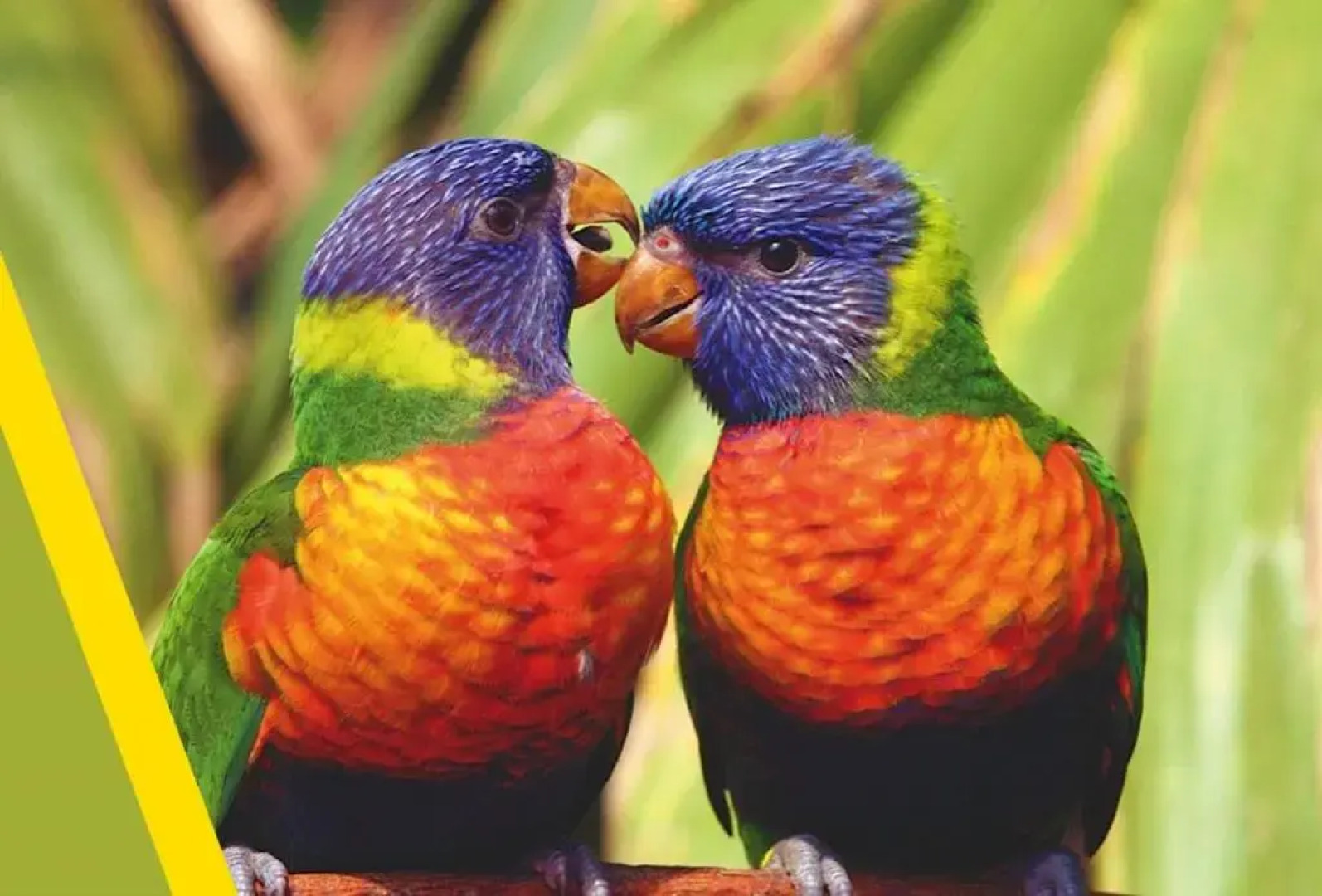 Logis Le Petit Casset