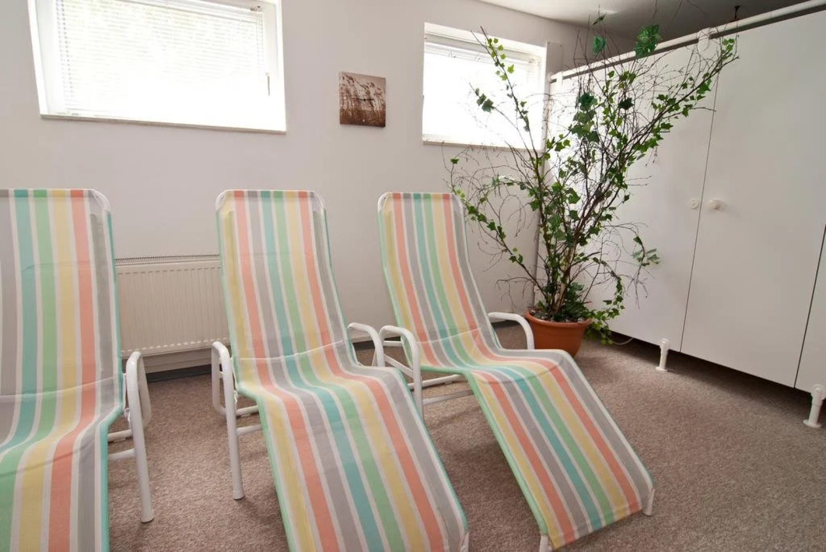 BSW-Ferienwohnungen Zingst-Ostsee