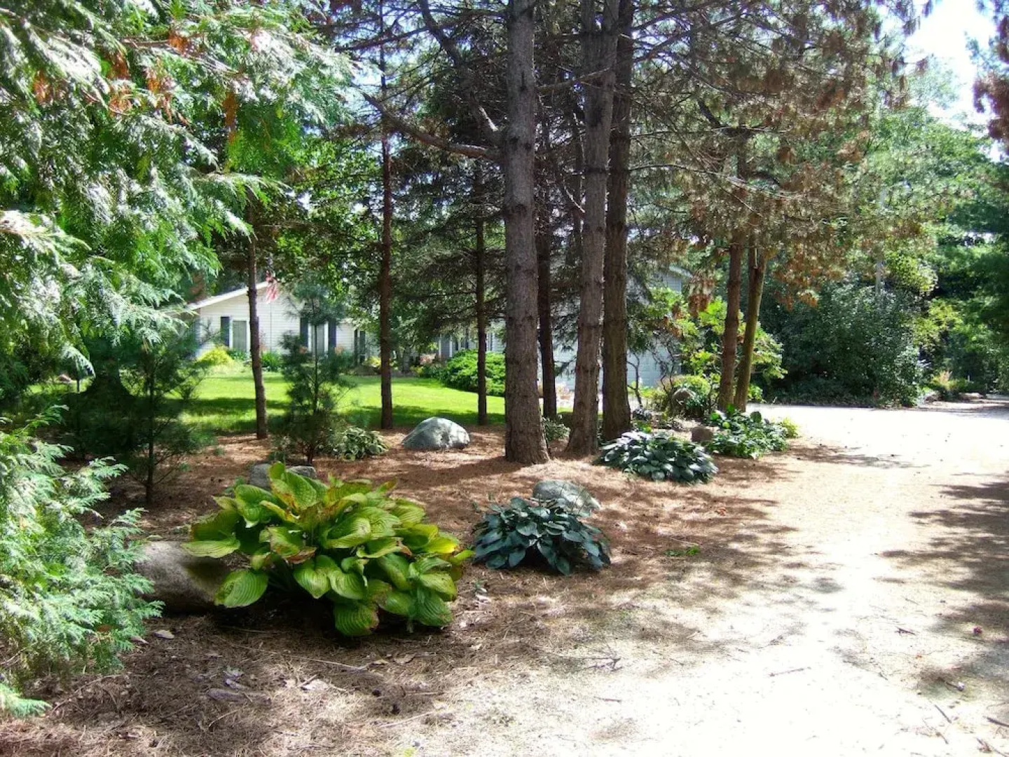 Loya's Little House Bed & Breakfast