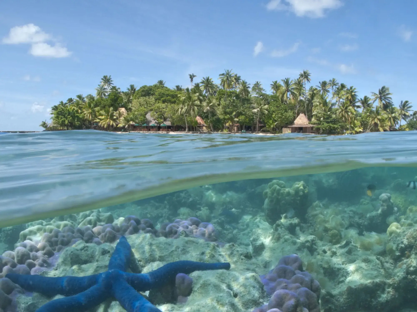 Toberua Island Resort