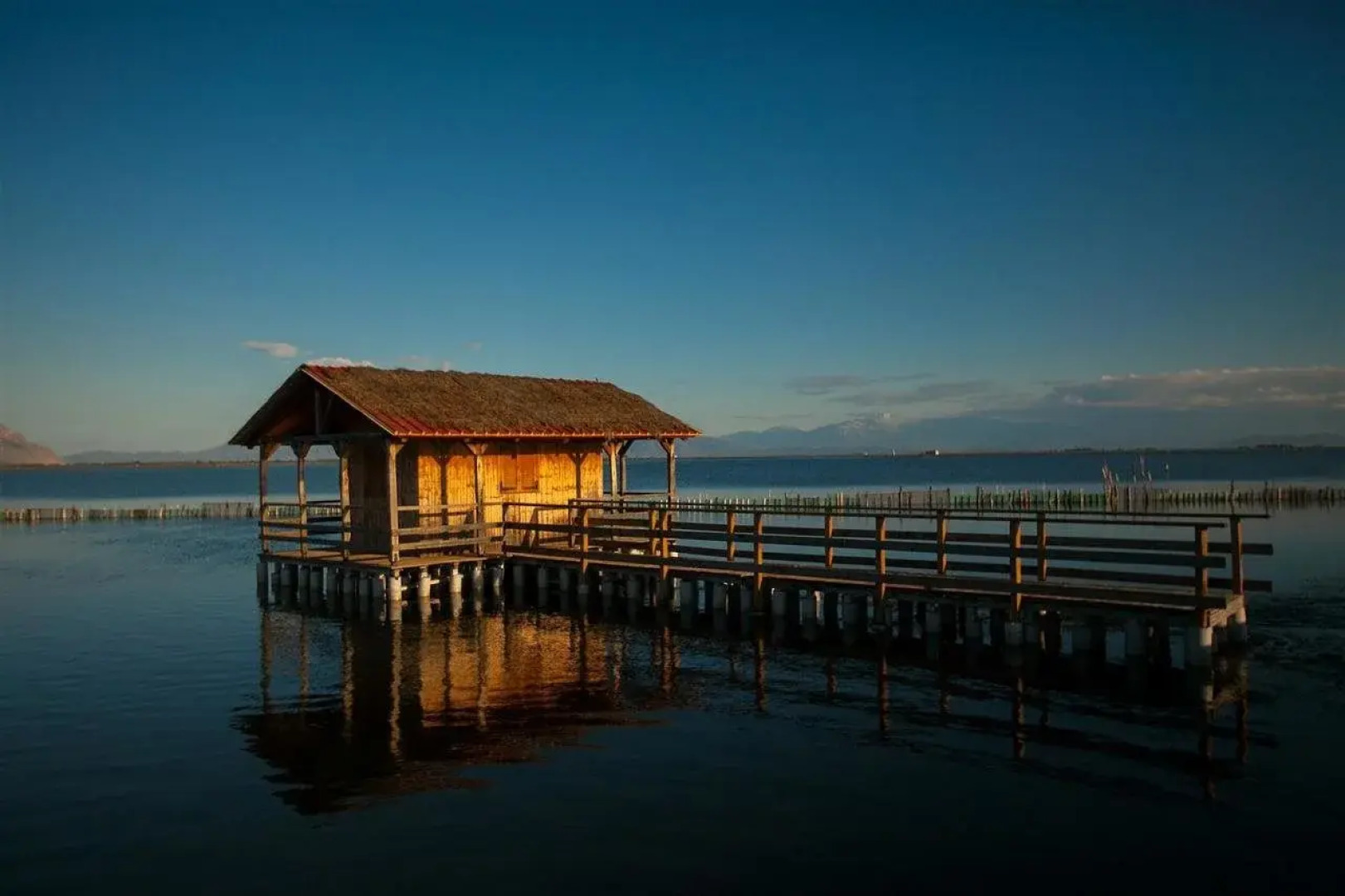 Theoxenia Messolonghi