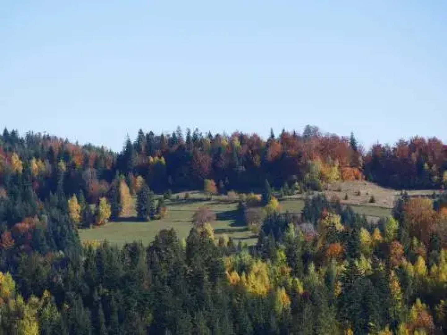 Apartamenty przy Hotelu Żywieckim