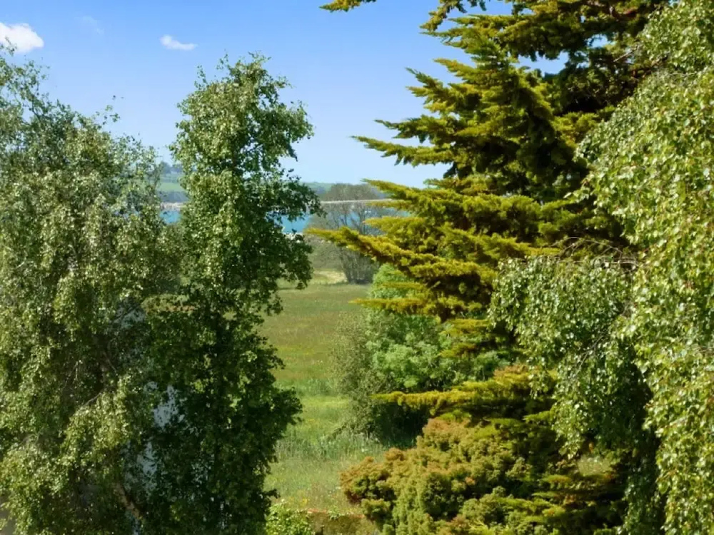 House With 4 Bedrooms in Saint-jean-du-doigt, With Enclosed Garden - 5