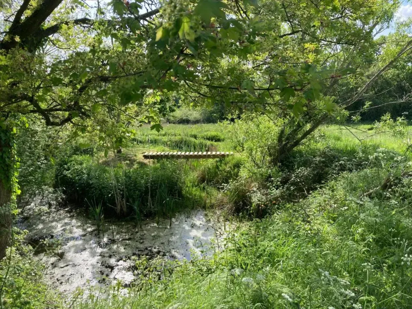 The Shepherd's Hut with seasonal Swimming Pool