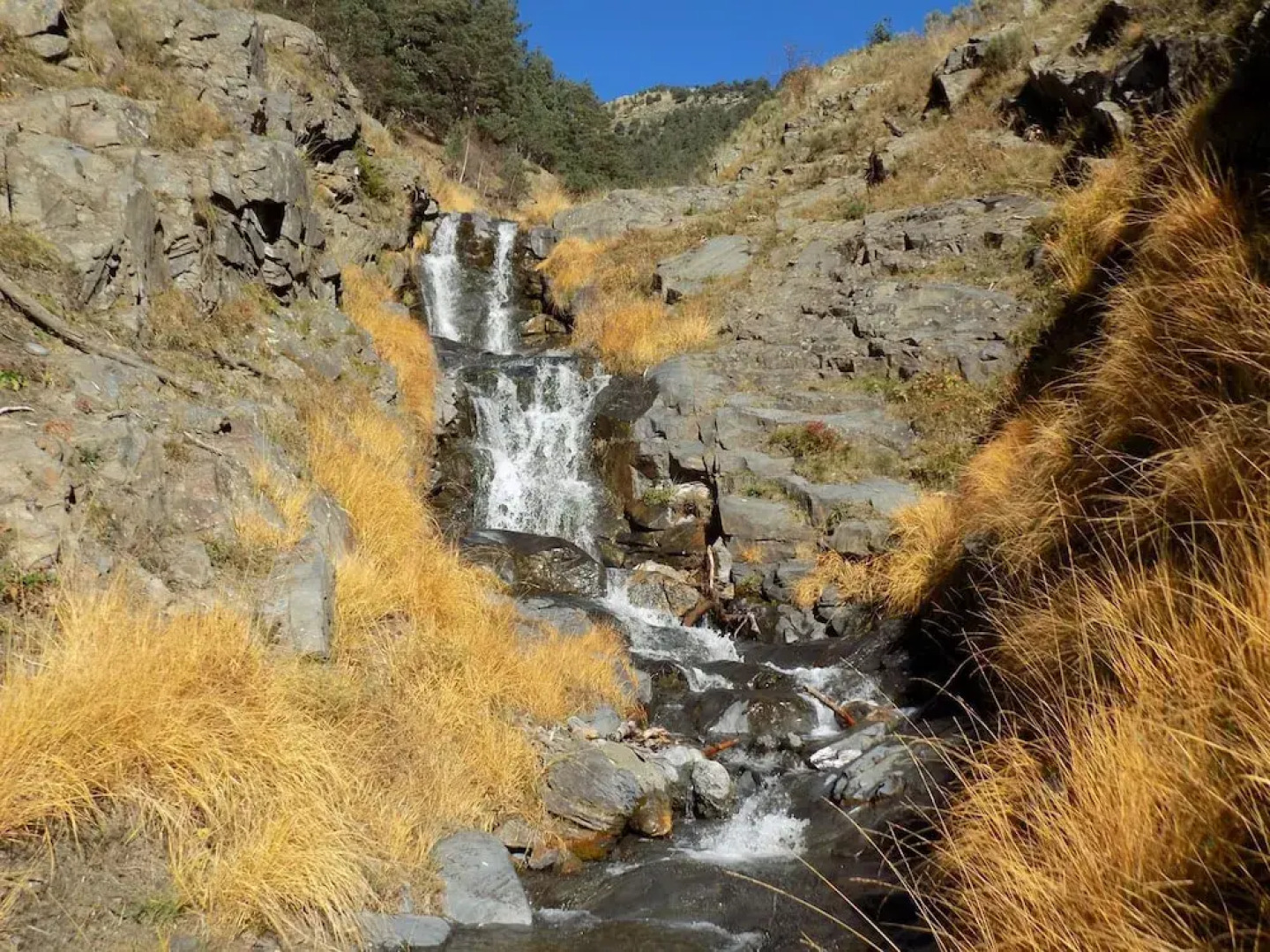 Hostel Refugi del Fornet