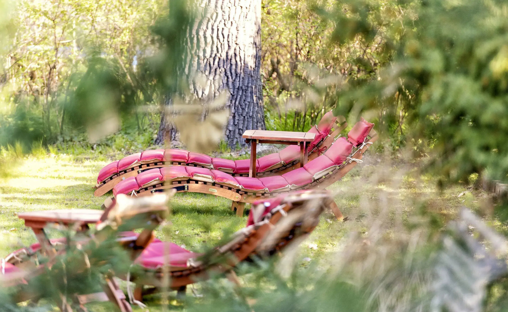 Hotel am Katharinenholz Potsdam