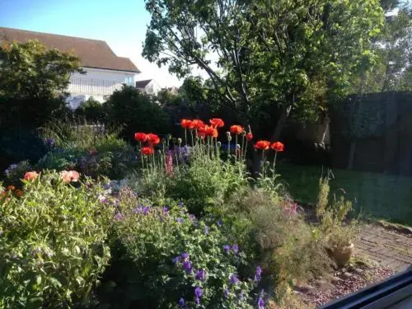 Rowan Cottage Guest House