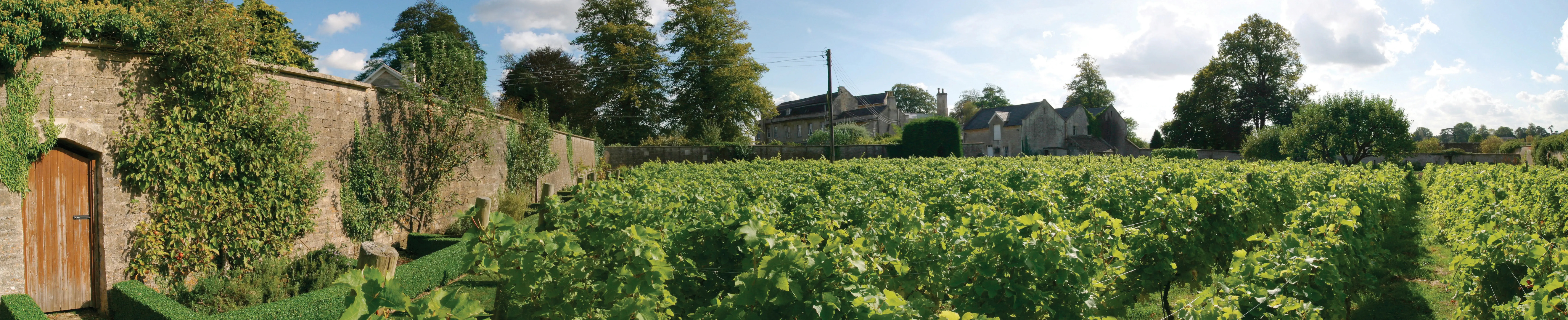 Leigh Park Country House Hotel & Vineyard, BW Signature Collection