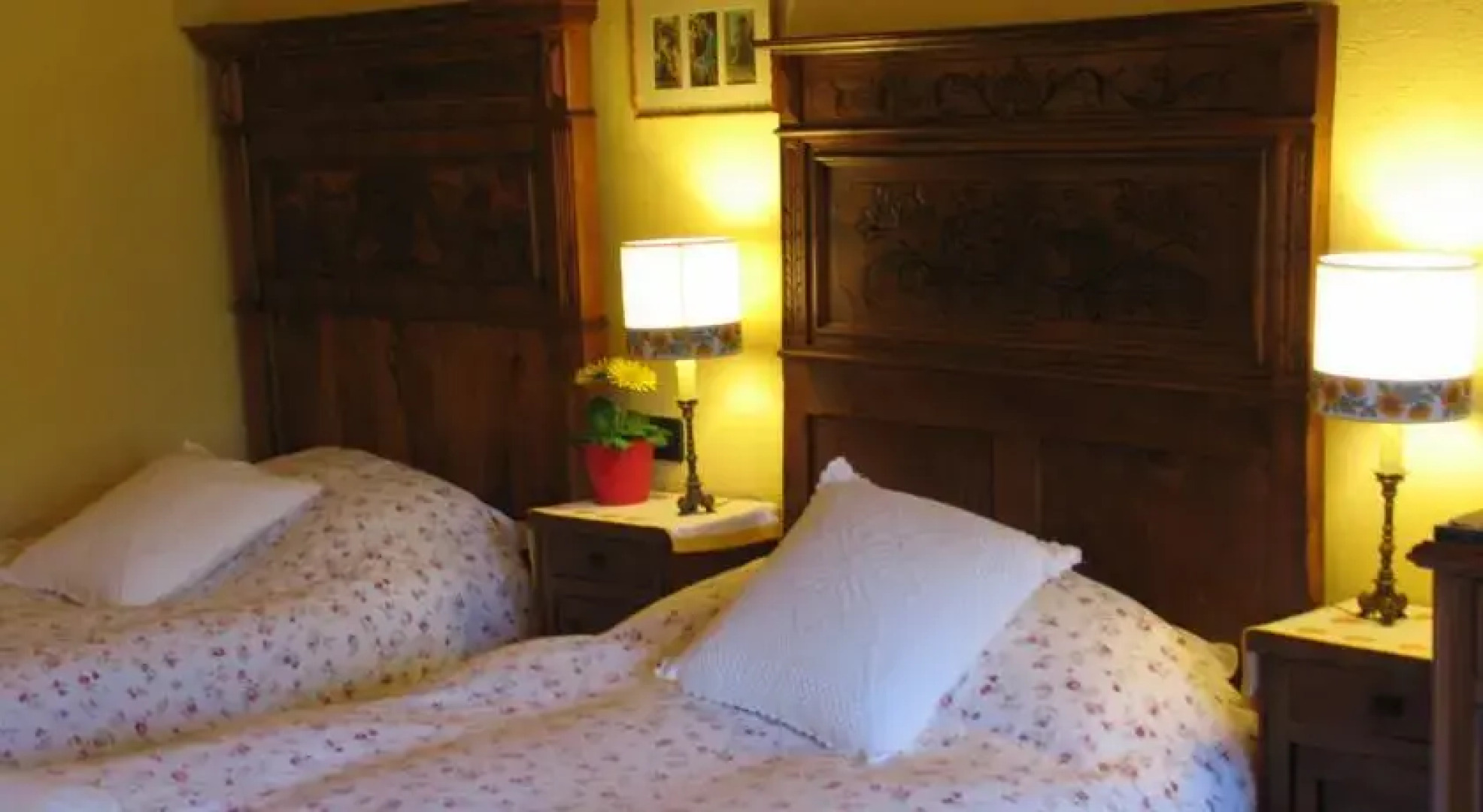 Il Bosco Delle Terrecotte