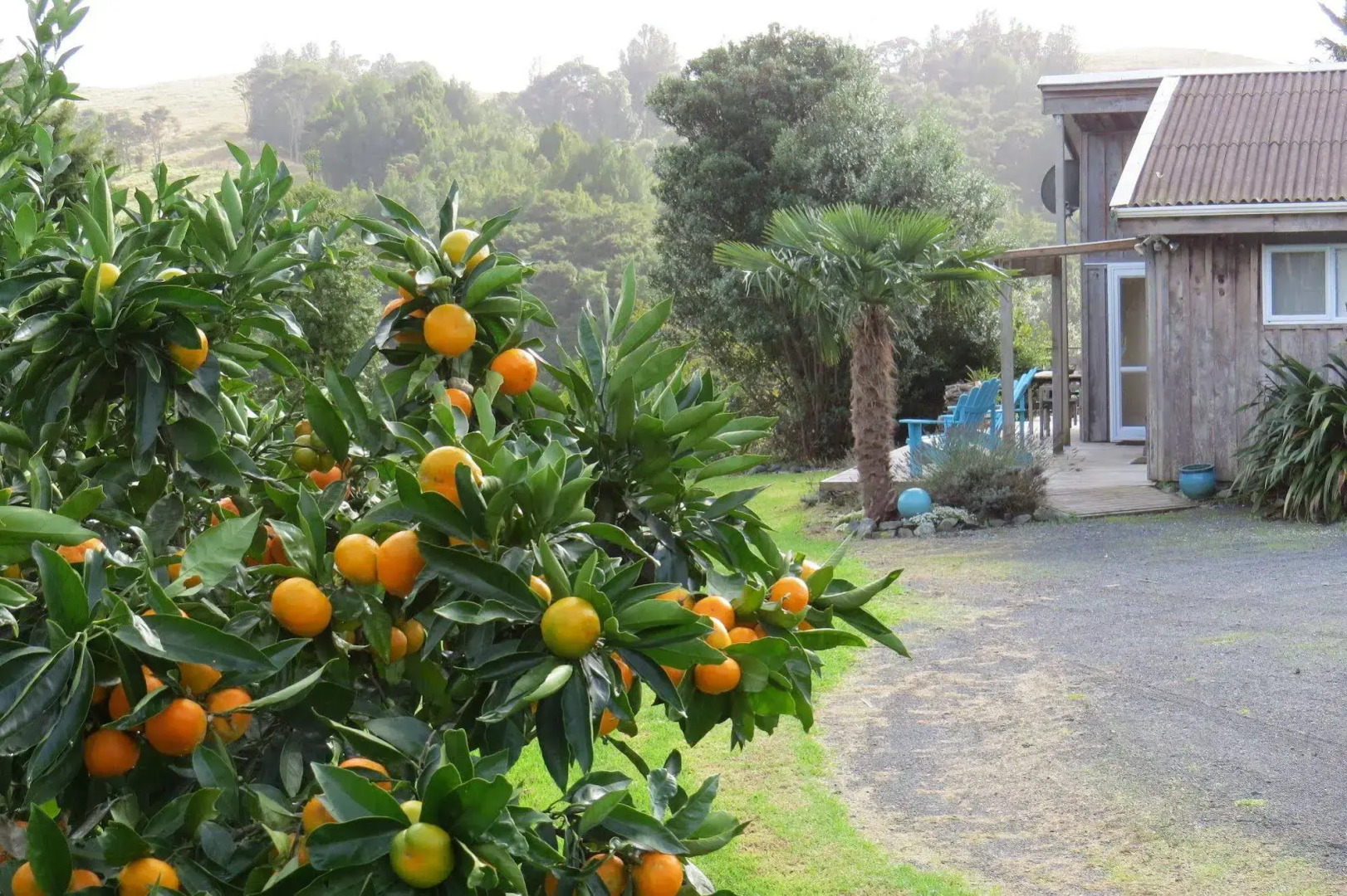 Westwind Homestay B & B