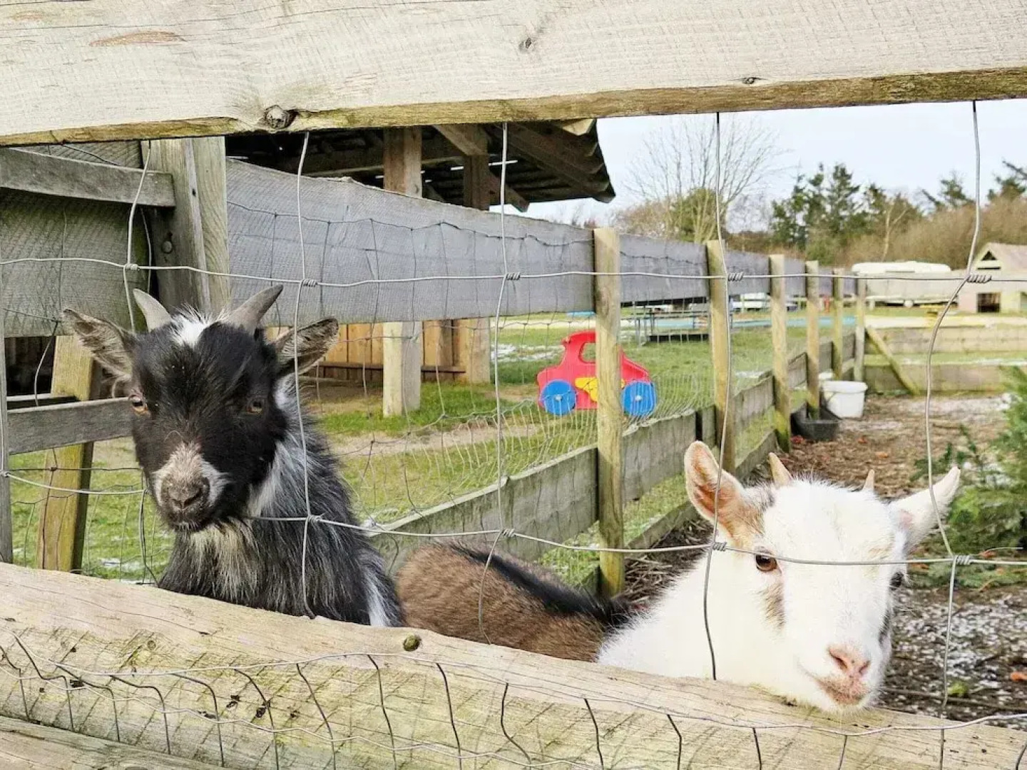 5 Person Holiday Home in Struer