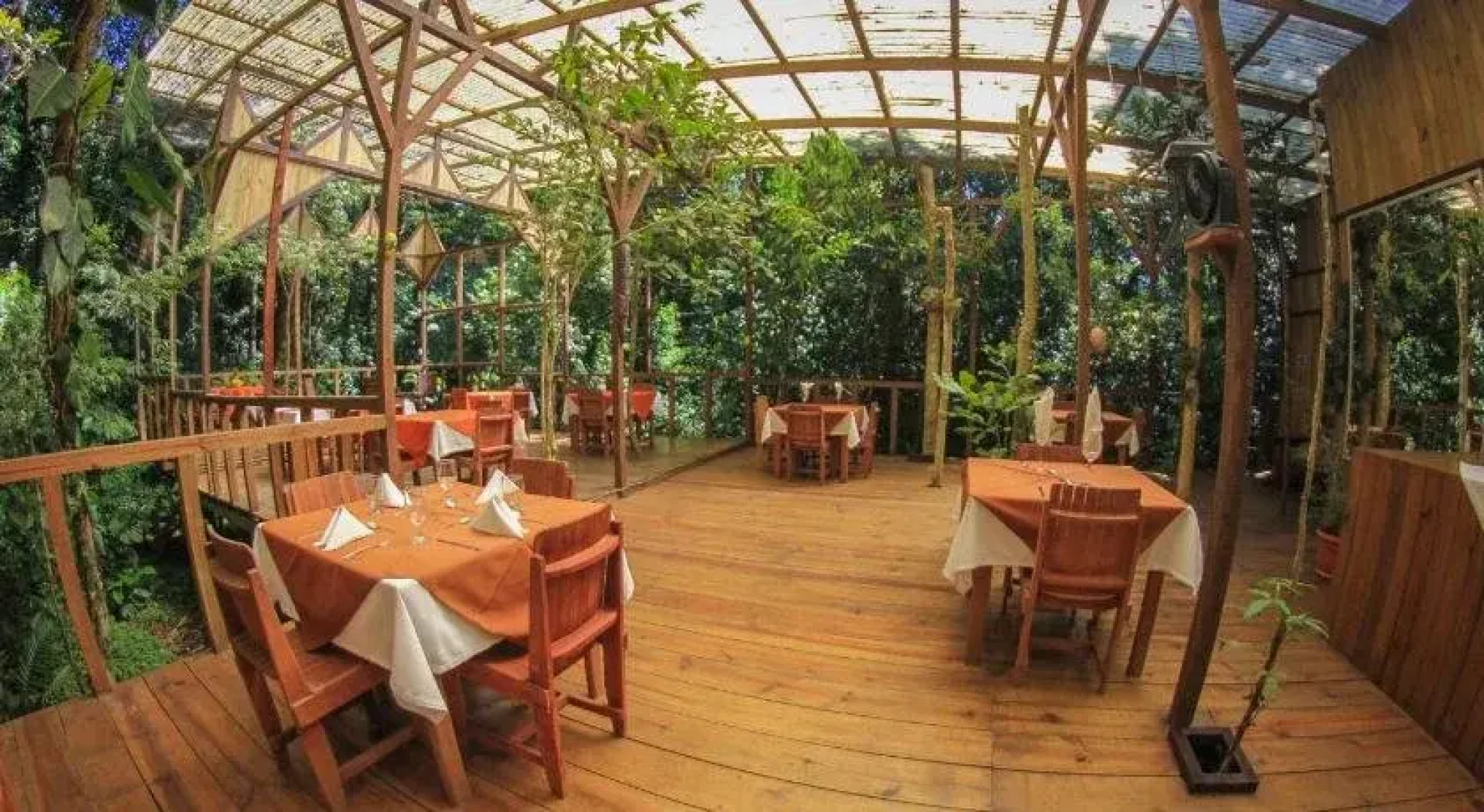 Wagelia Espino Blanco Lodge