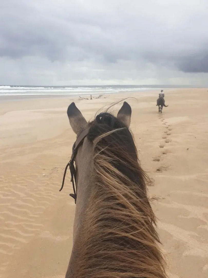 Rosedale Organic Farm B&B