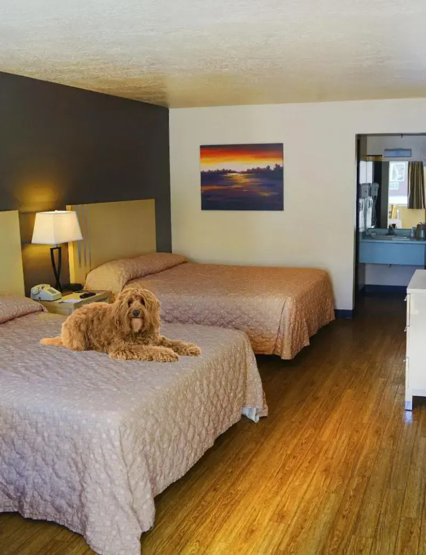 Virgin River Hotel and Casino