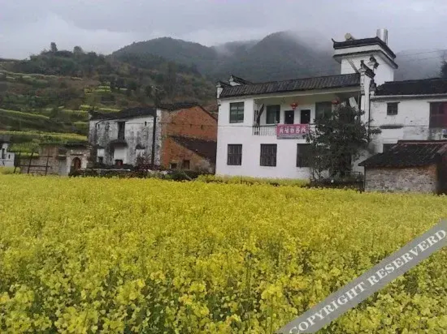 Wuyuan Qingyuan Xifuchun Farmstay