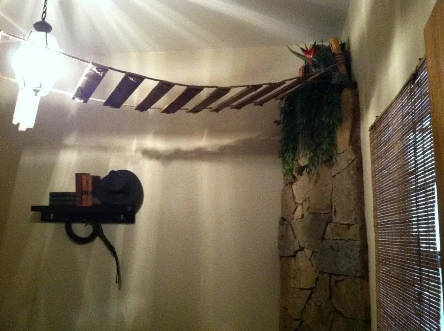 Dinosaur Trail Cabins & Cottages