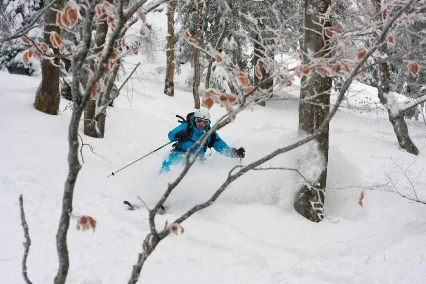 Bed and Breakfast BnB44