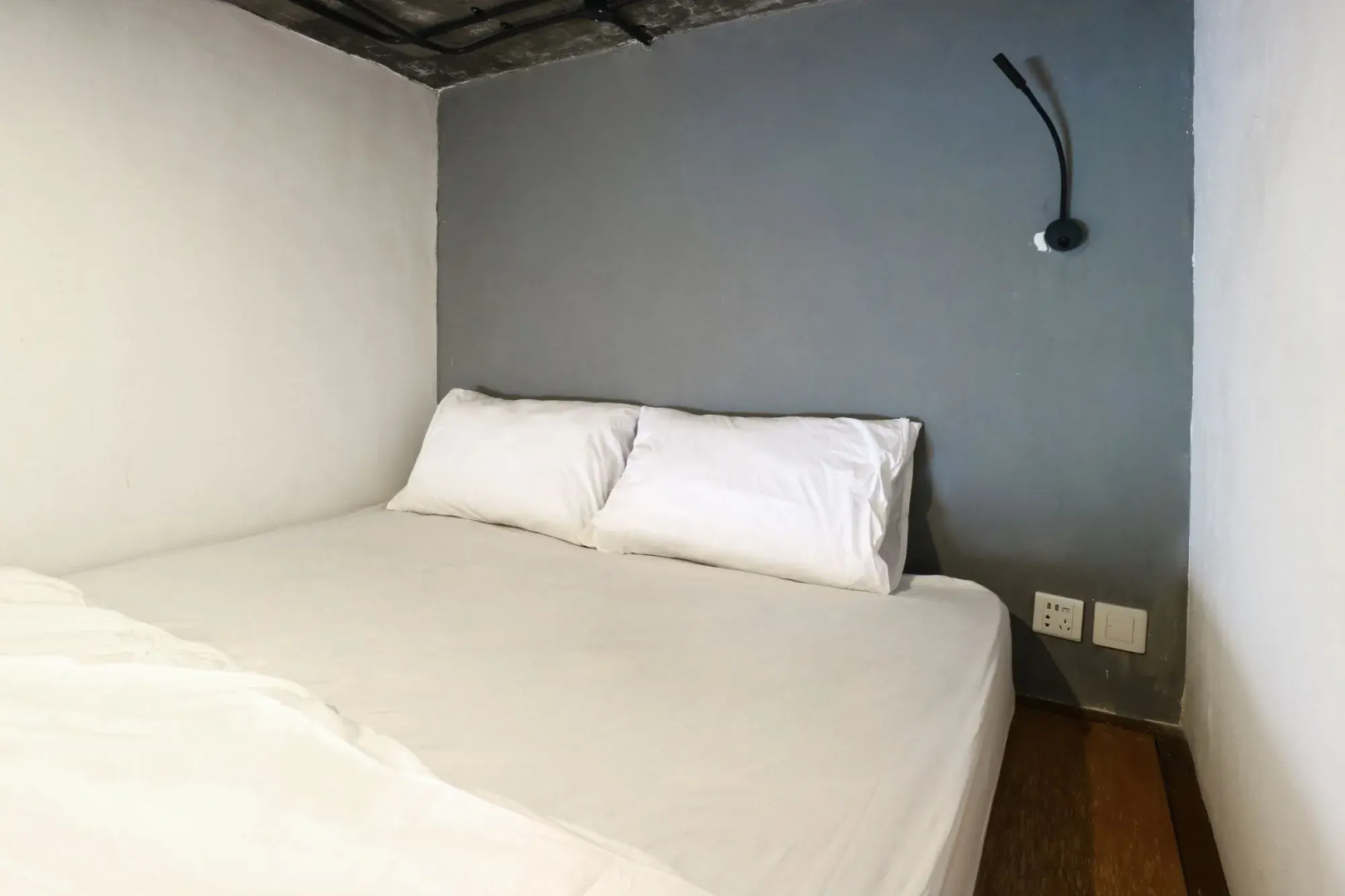 Tribe Theory - Startup House
