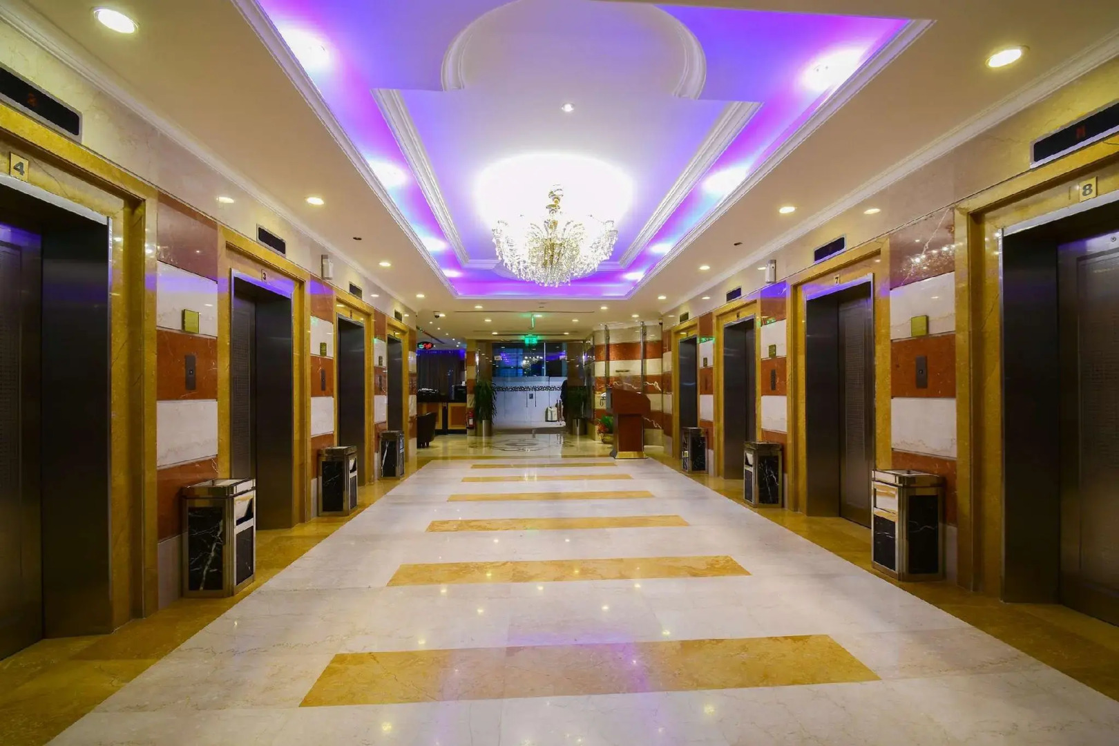 Alansar Golden Tulip