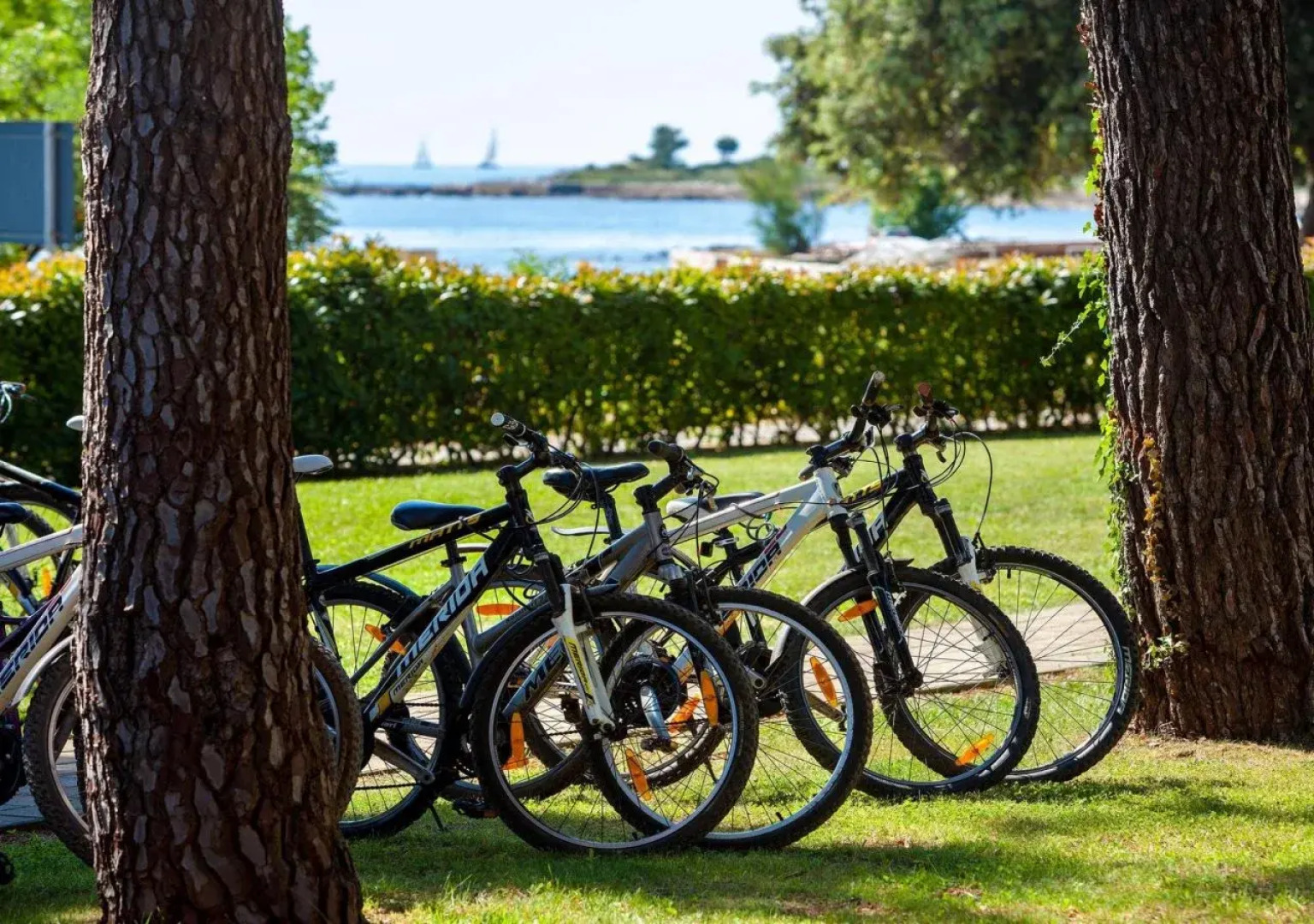 Hotel Aurora Plava Laguna