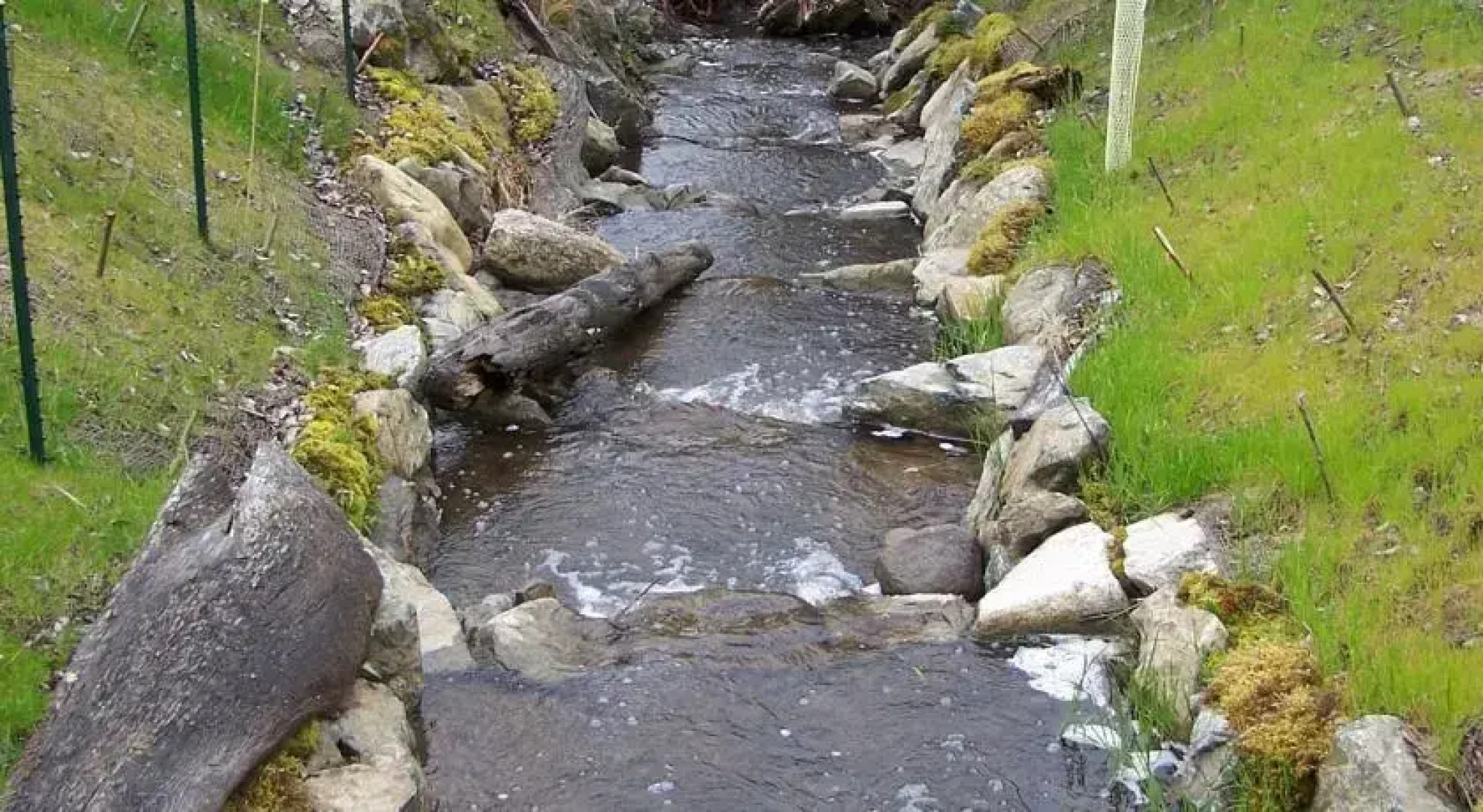 Grandma and Grandpas Getaway