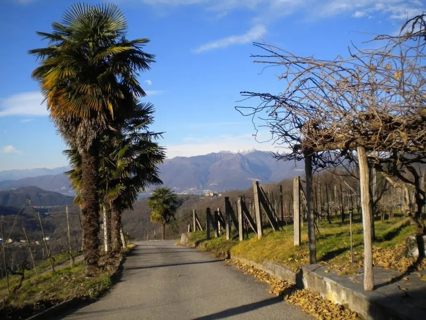 Agriturismo Azienda Viti-Vinicola Hostettler