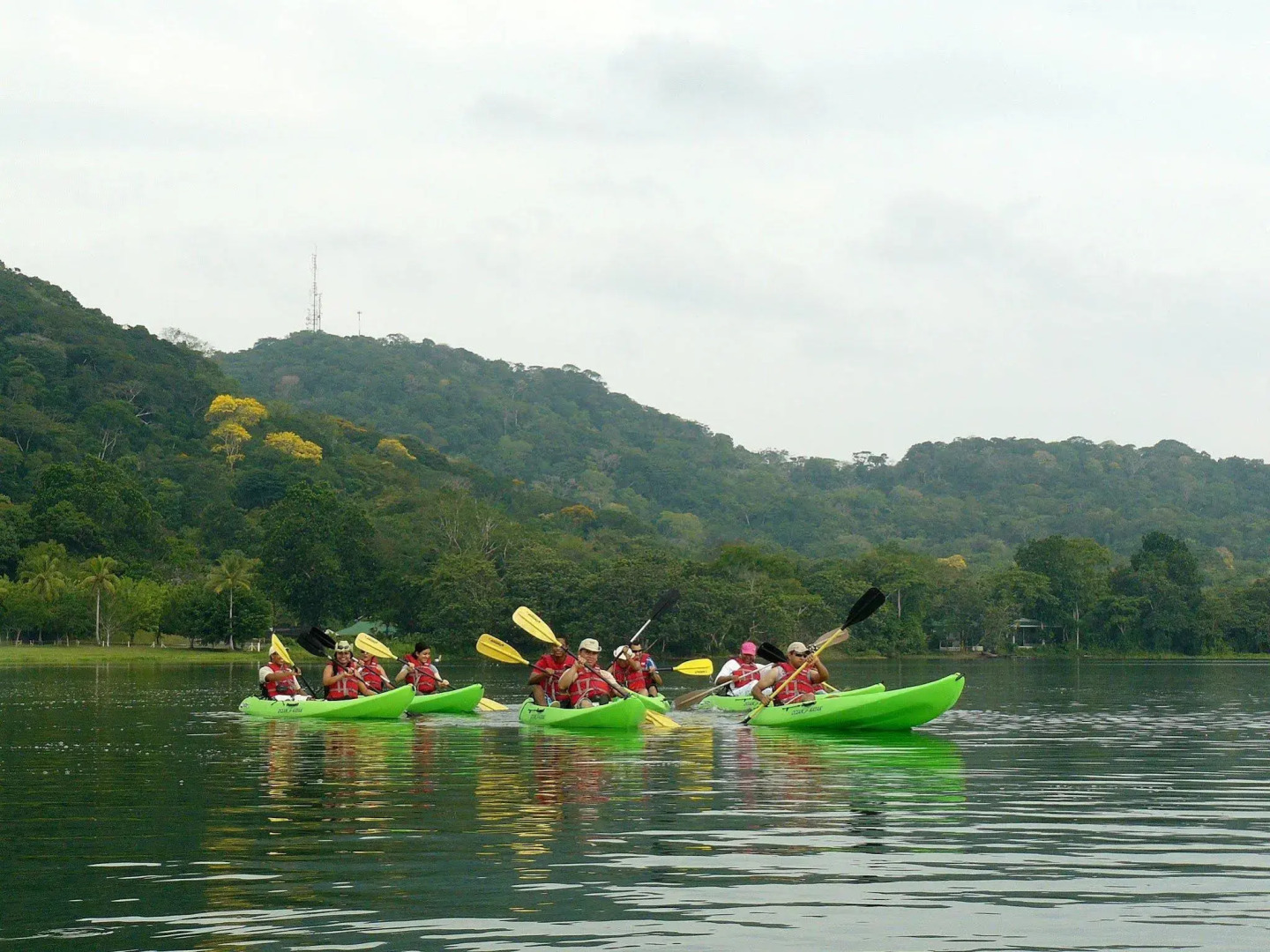 Gamboa Rainforest Reserve