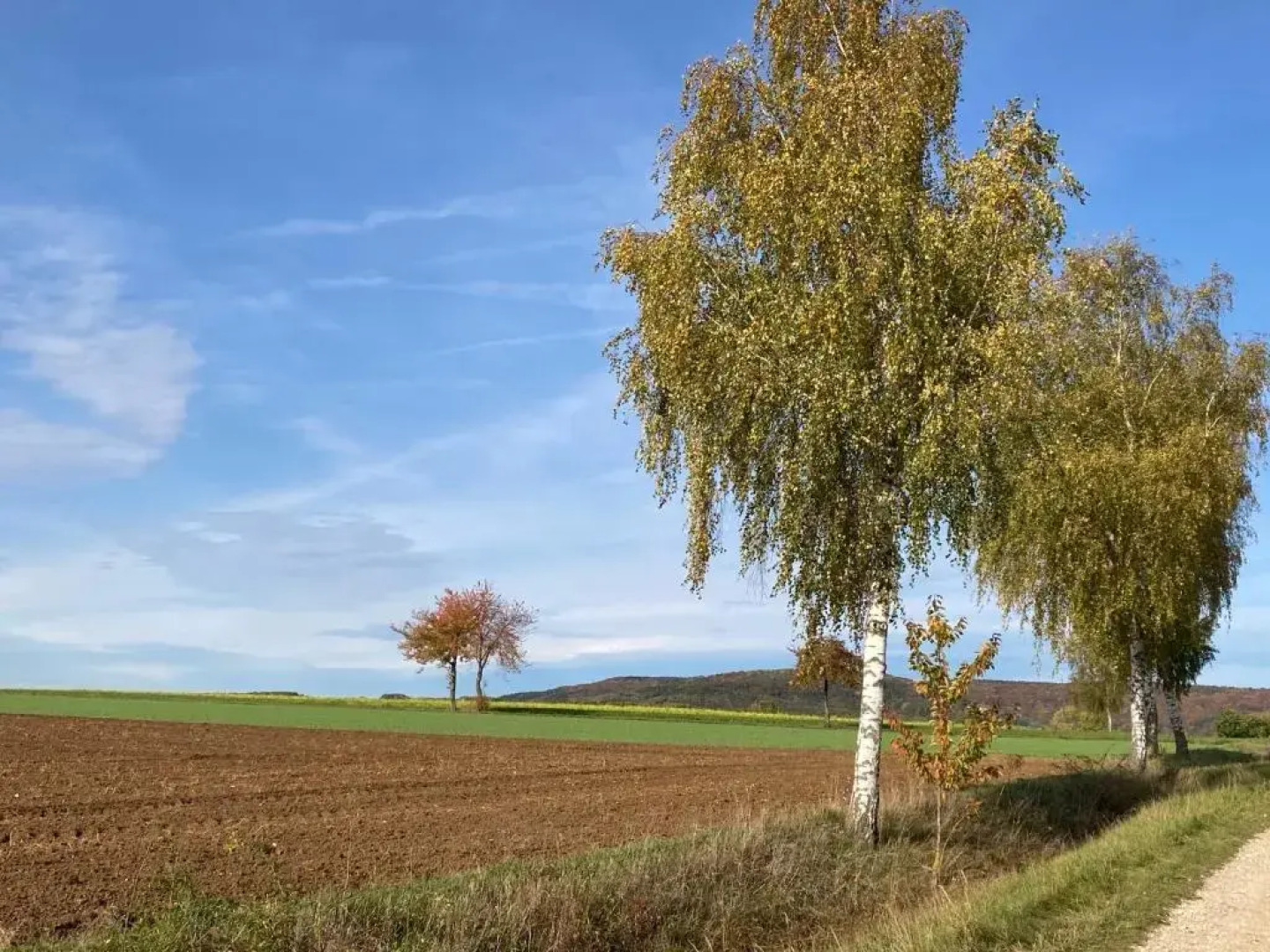 Ferienwohnung Franken