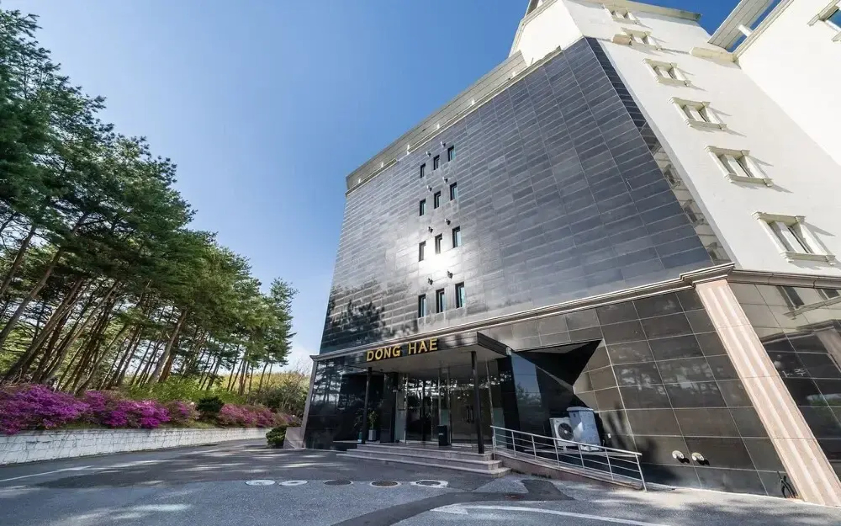 Yangyang See Star Donghae