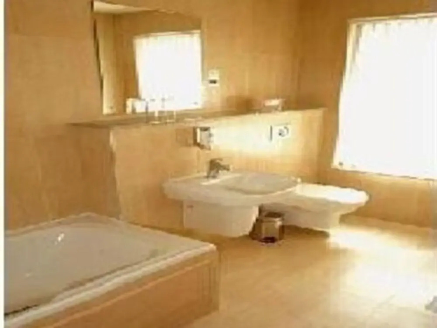 The Windmill at Tabley