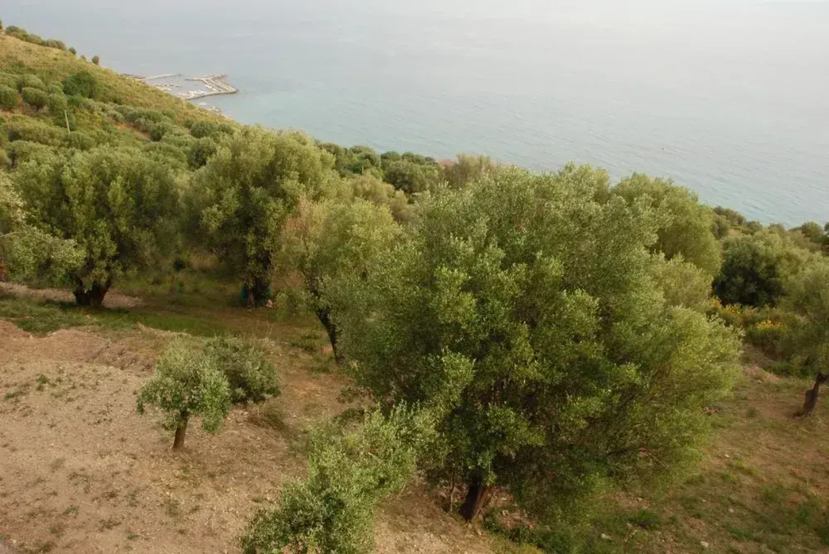 Santo Mercurio Country House