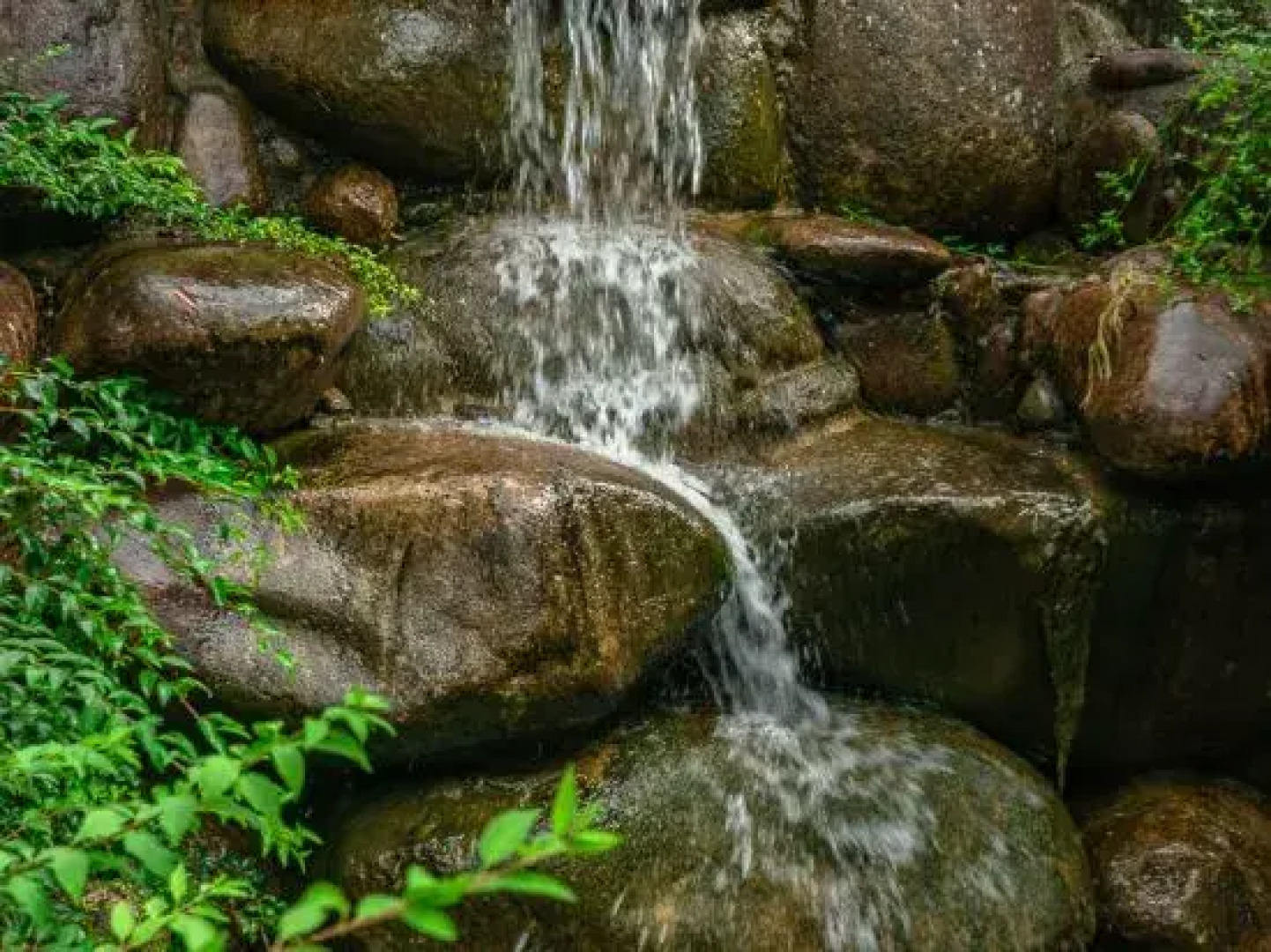 Grand New Century Resort Sanqingshan Shangrao