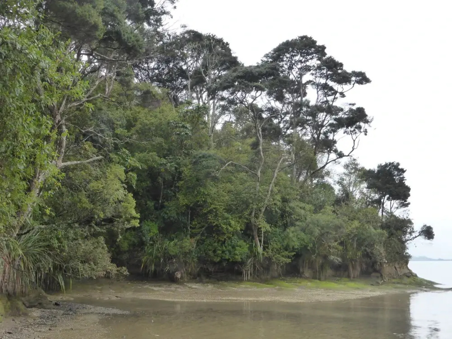 A Relaxed Haven by the sea