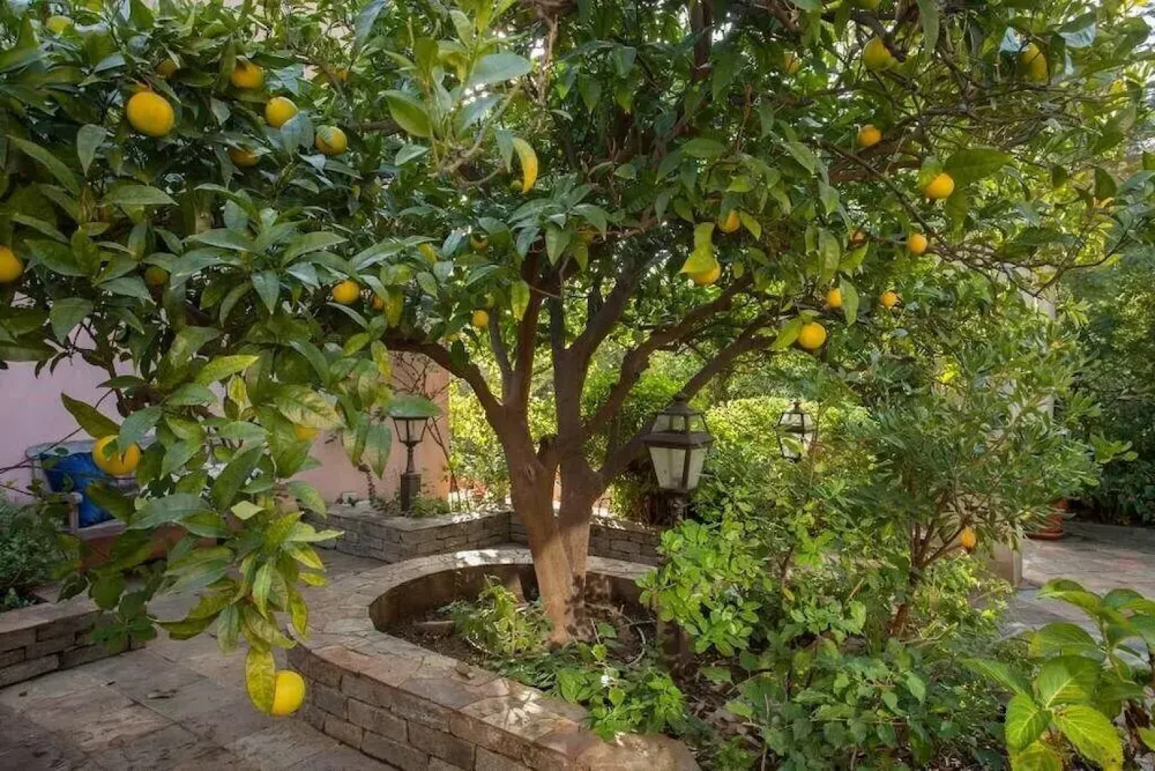 Magnifique Cottage au coeur de Bastia