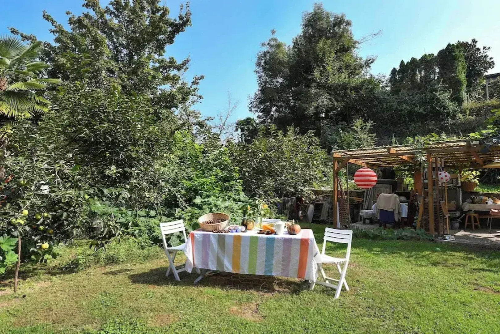 Petit Jardin