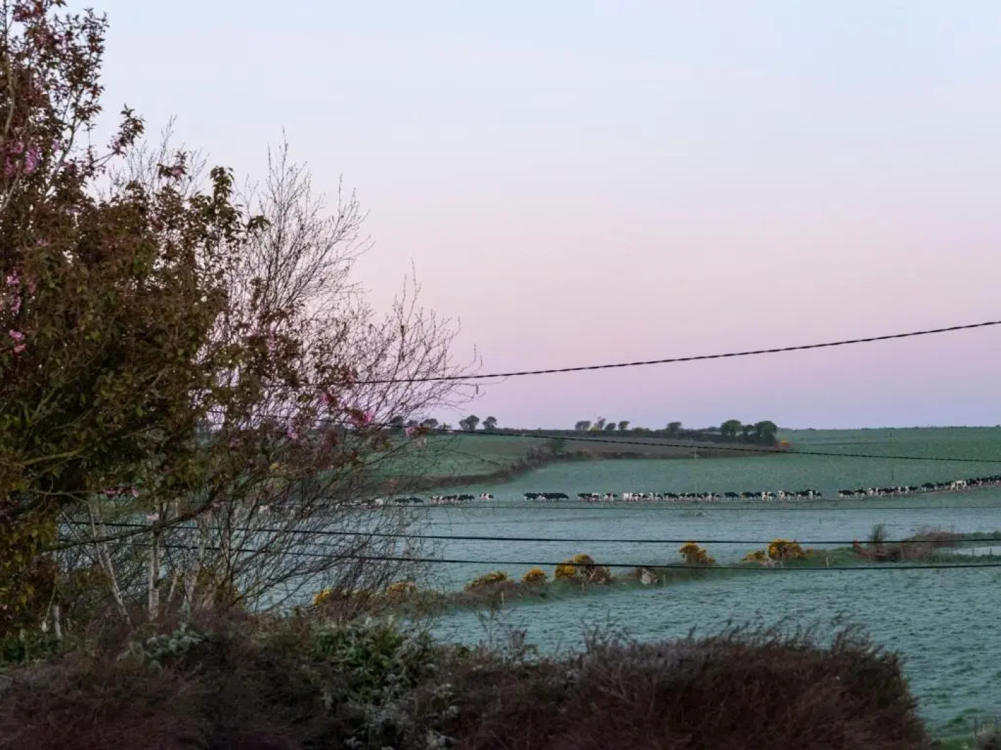 The Knock Guest house