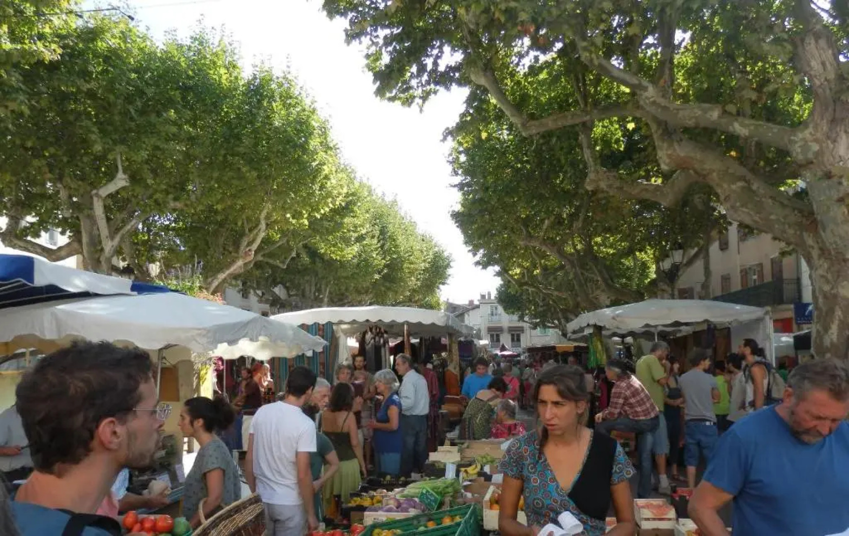 The Railway Cottage at Montazels