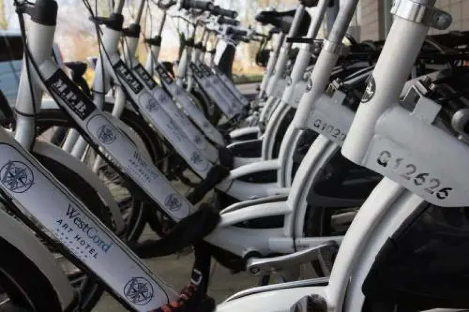 Westcord Art Hotel Amsterdam 3*** & Westcord Art Hotel Amsterdam 4****