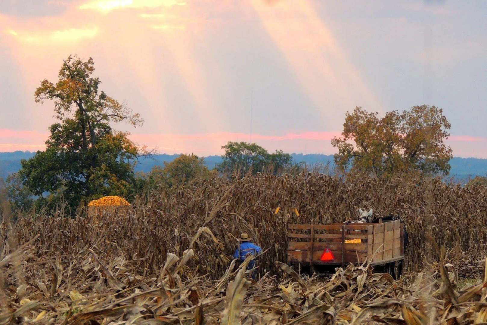 The Jacqueline House of Wilmington