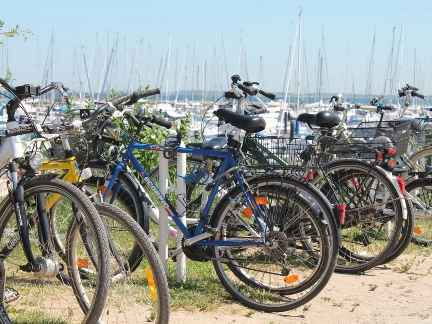 Apartments sun and moon with fireplace, terrace and garden