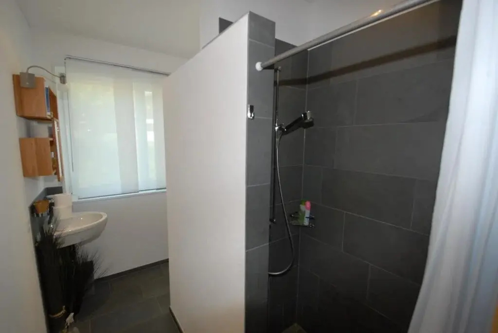 Bio-Studio Königskerze