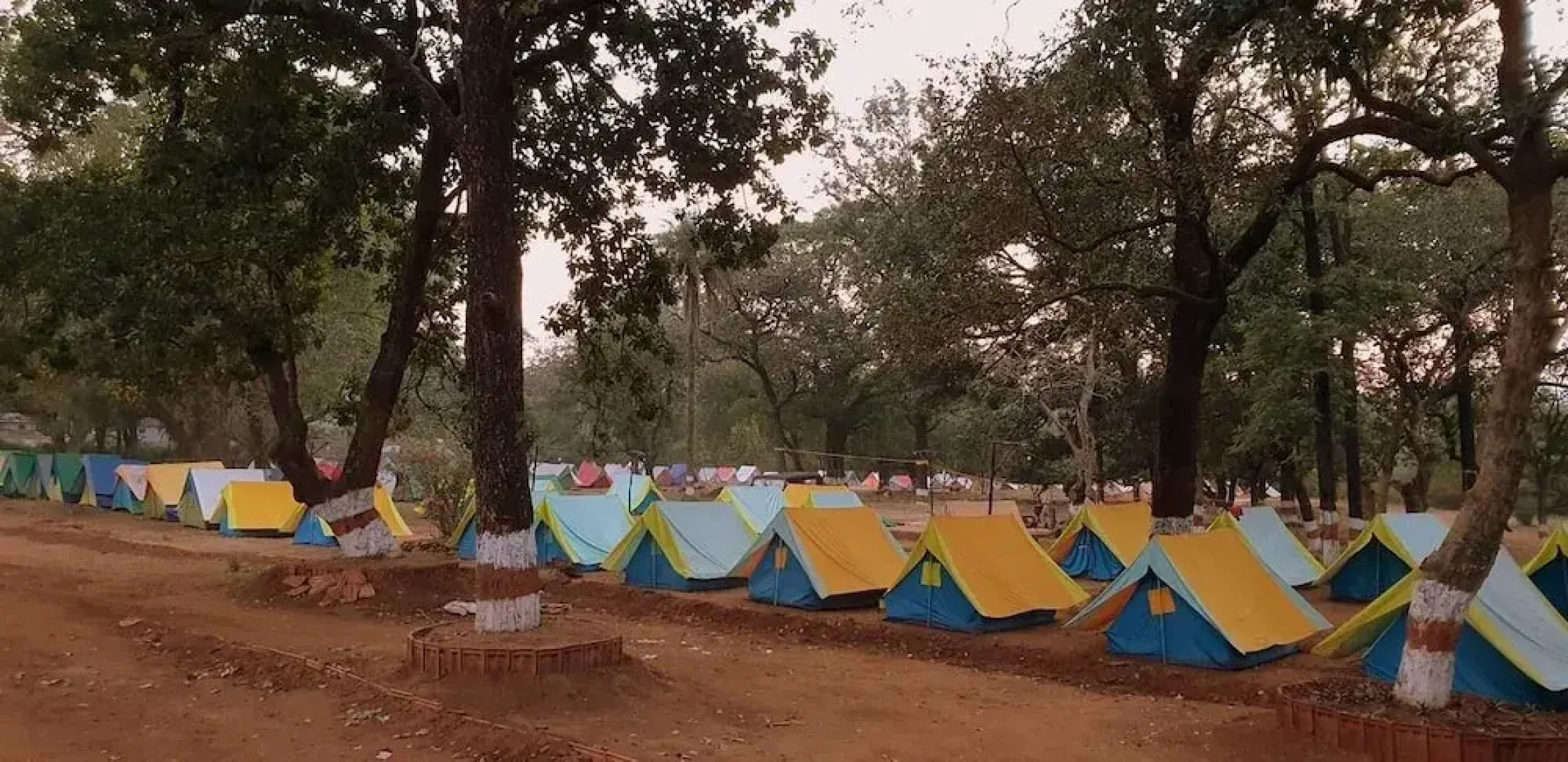Satpura Adventure Resort & Camping