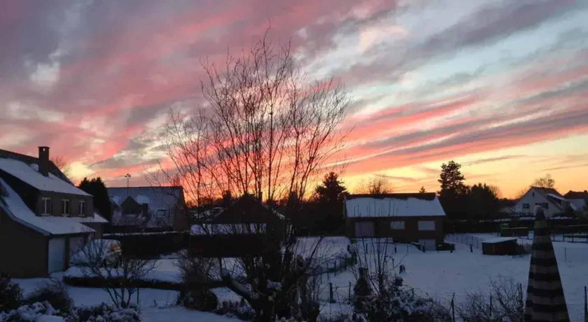 A Sunny and Green Real Home