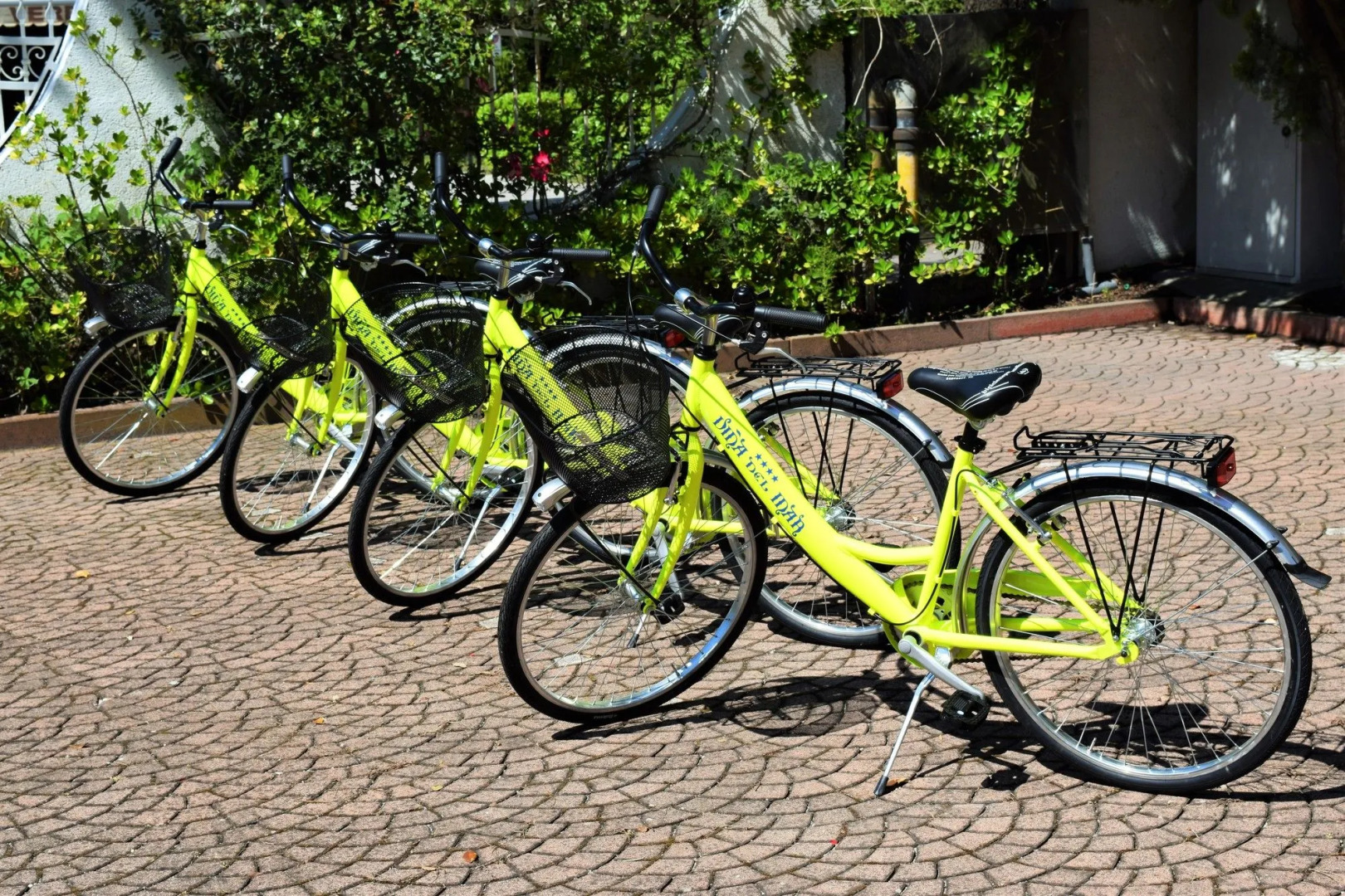 Hotel Vina del Mar Pineta