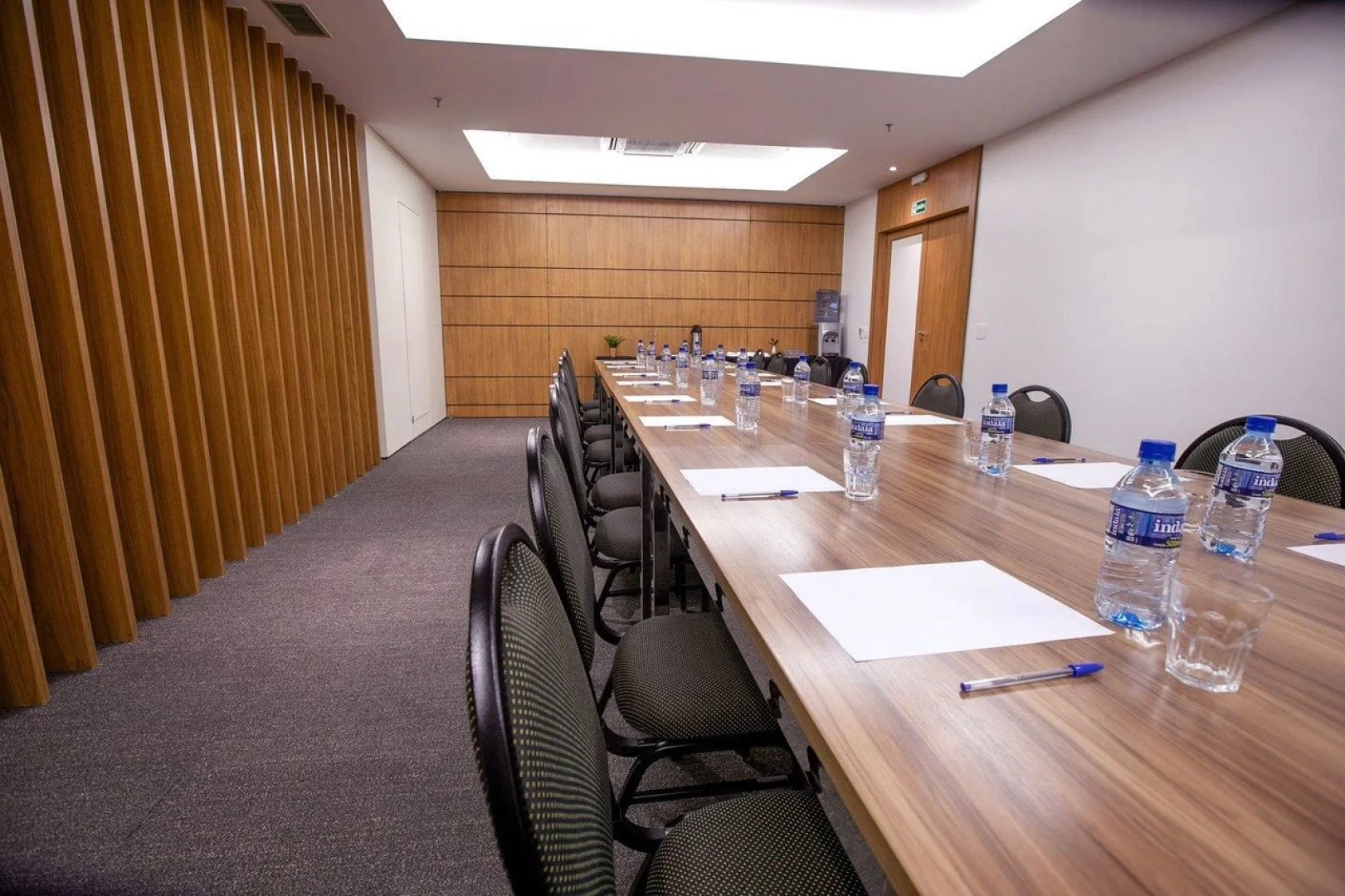 Hplus Vision Executive