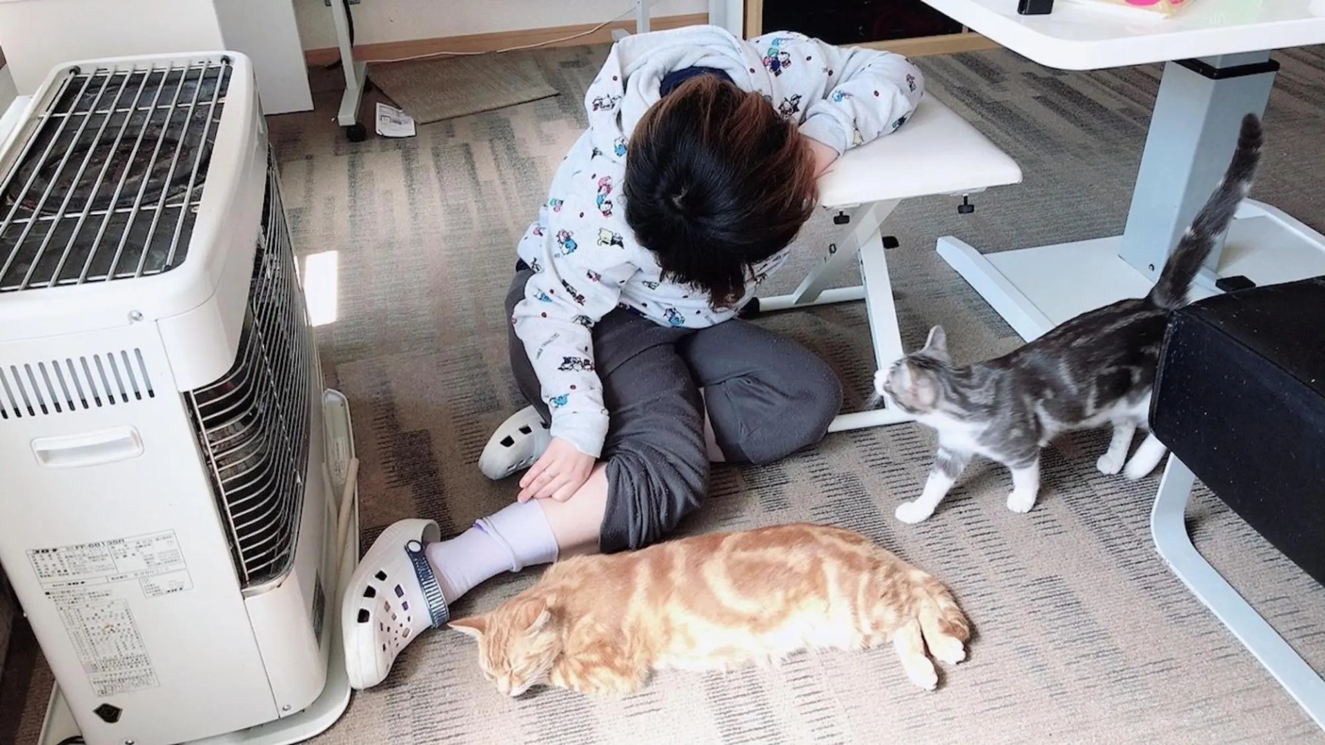 Misato Memorial Hall - Vacation STAY 61405v