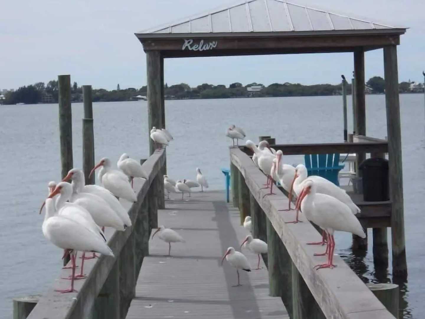 Paradise Cove at Lemon Bay