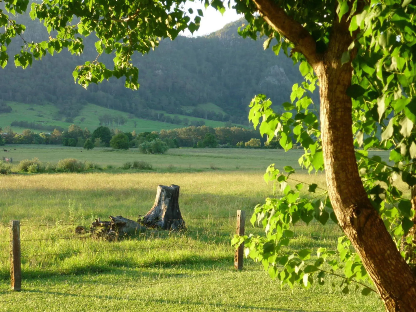 Gloucester Country Lodge Motel